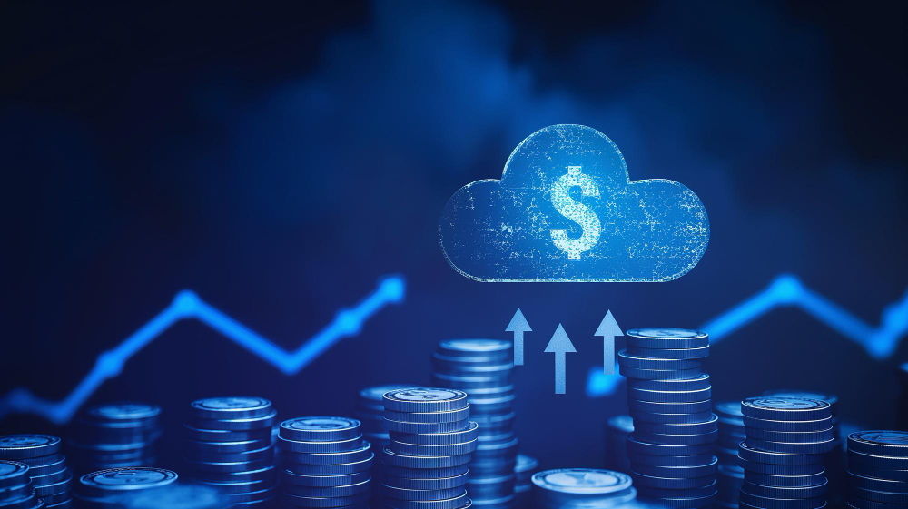 Cloud Cost Optimization & Management