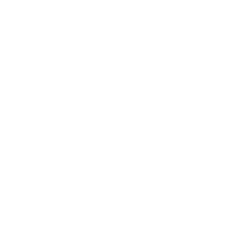 Team of Certified Experts